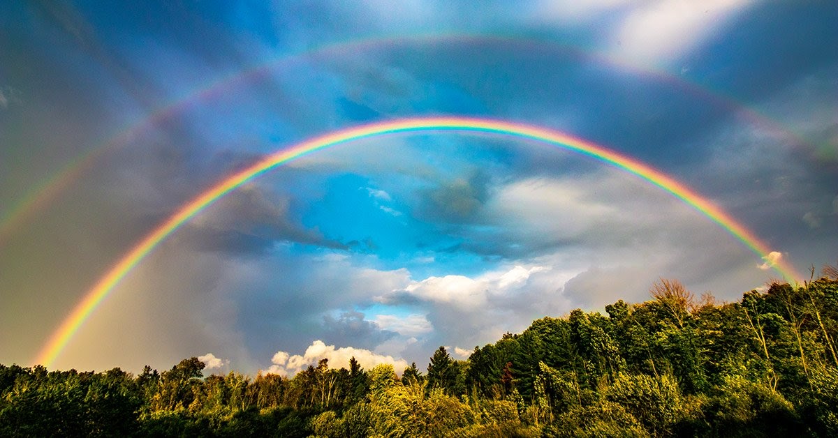 An image of a forest with two rainbows in a partially cloudy blue sky.