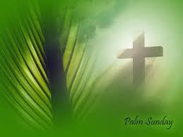 Image of a green palm on the left with a cross engulfed in a bright light on the right.