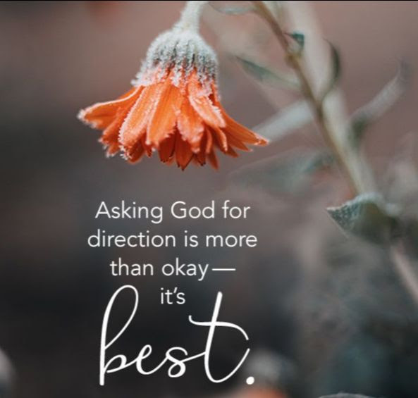 The image is of a photo of an orange flower barely open and leaning over. Directly below is the text "Asking God for direction is more than okay - it's Best"