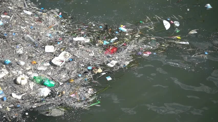 An image of trash floating on the surface of the water.