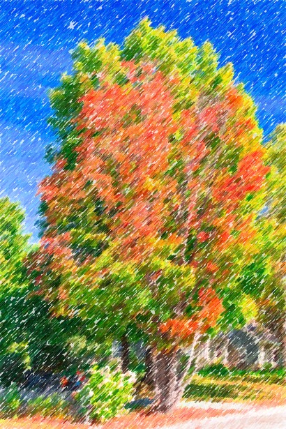 A watercolor image of a tree with leaves changing colors. Red, yellow and green primarily.